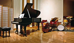 Room of Instruments